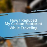 How I Reduced My Carbon Footprint While Traveling