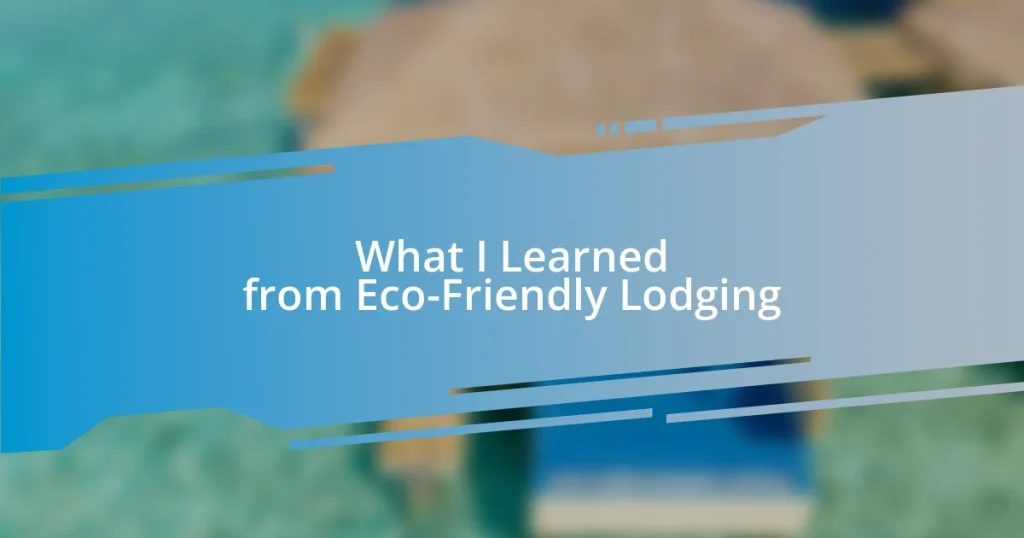 What I Learned from Eco-Friendly Lodging